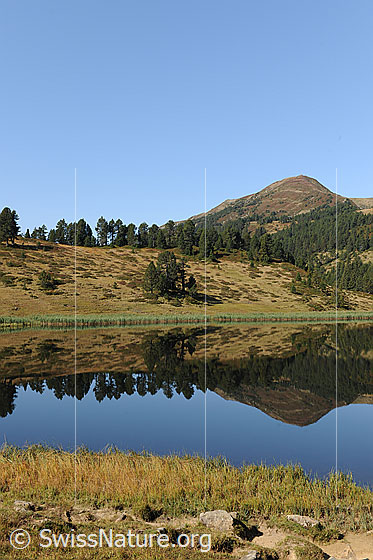 Foto: Spiegelbild Chli Fürstein im Sewenseeli. Der stille, blaue Bergsee widerspiegelt die herbstlichen Alpweiden mit lichtem Föhrenwald.