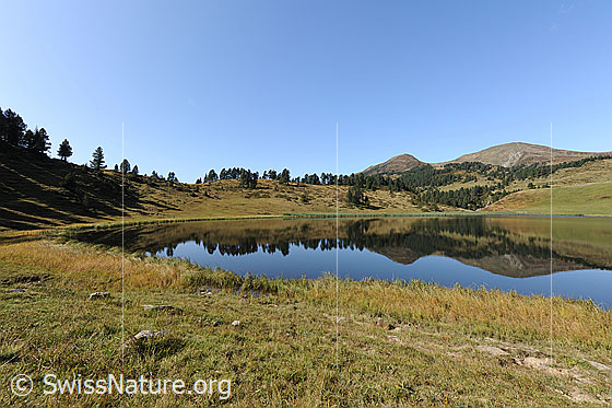 Foto: Herbstbild Sewenseeli, Glaubenberg. Chli und Gross Fürstein spiegeln sich im ruhigen Bergsee.