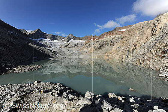 Foto: Gruebengletscher (auch Grubengletscher) mit Spiegelung im Bergsee. Gruebengletscher und Gruebensee.
Gipfel: Gross Diamantstock - Hiendertelltihorn