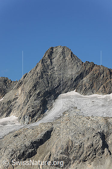 Foto: Hiendertelltihorn