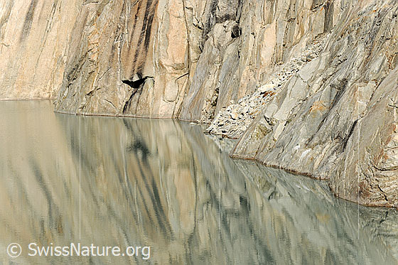 Foto: Formen im Fels mit Spiegelung im Bergsee (Gruebensee).