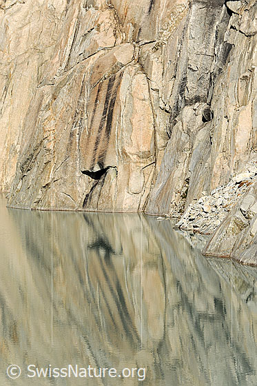 Foto: Felswand mit Spiegelung der Formen und Strukturen im Gruebensee.