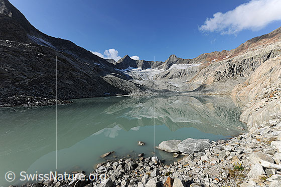 Foto: Gruebengletscher und Gruebensee mit Spiegelbild.
Gipfel: Gross Diamantstock - Hiendertelltihorn