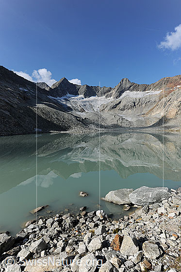 Foto: Spiegelung Gruebengletscher im Gruebensee.
Gipfel: Gross Diamantstock - Hiendertelltihorn