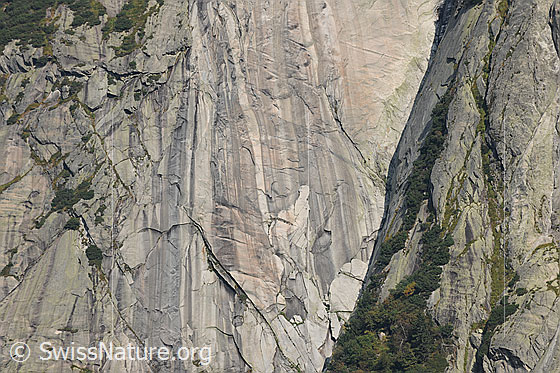 Foto: Felswand im Klettergebiet Handegg.