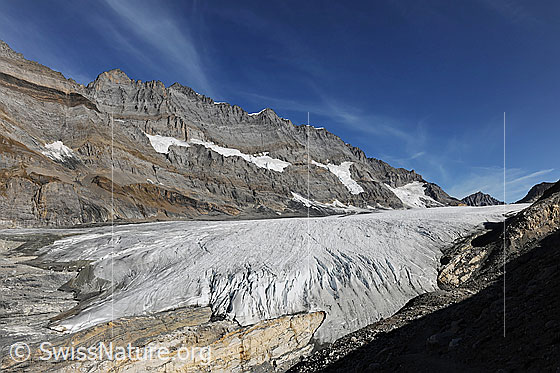 Foto: Alpetligletscher und Kanderfirn. Dahinter Oeschinenhorn, Blüemlisalphorn, Wyssi Frau, Morgenhorn, Tschingelspitz und Mutthorn. Die flache Gletscherzunge zeigt, dass sich der Gletscher auf dem Rückzug befindet.
Gletscher: In die Südflanke eingelagert sind die Gletscher Blüemlisalphorn-SE und Wyssi Frau-SE