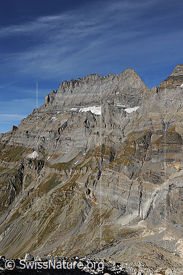 Foto: Doldenhorn von SE. Links der Südgrat, in der Mitte der obere Teil des Galletgrats, rechts der Ostgrat, welcher vom Fründenjoch steil emporsteigt. Gut erkennbar auch die Südostwand, über welche eine der grossen alpinen Sportkletterrouten, die Doldorphin, verläuft.
Gletscher: Doldenhorn-SE