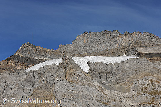 Foto: Südostflanke des Fründenhorn. In die Flanke eingelagert ist ein Gletscher, welcher von schräg unten wie ein fliegender Greifvogel aussieht. Die Felswand weist interessante Faltungen und Felsformationen auf.
Gletscher: Fründenhorn-SE.