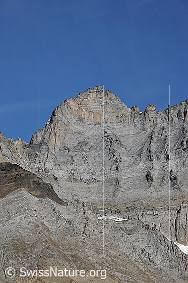 Foto: Oeschinenhorn Südwand. Links das Oeschinenjoch, von welchem der Südwestgrat zum Gipfel führt. Rechst der Ostgrat, welcher in den Sattel Richtung Blüemlisalphorn führt.