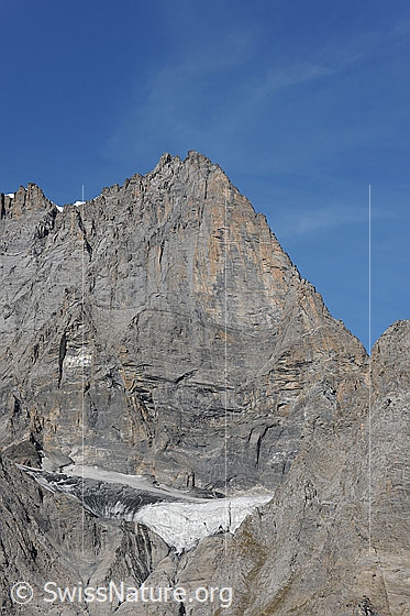 Foto: Doldenhorn - Ostgrat. Über den Grat verläuft eine der grossen klassischen Grattouren der Berner Alpen und durch die mächtige Südostwand verläuft eine der grossen alpinen Sportkletterrouten, die Doldorphin. Am Fuss der Felswand ist der Gletscherrest des Doldenhorn-SE zu sehen.