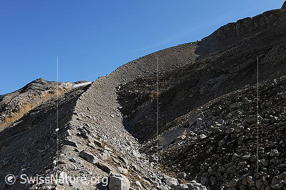 Photo: Curved lateral moraine. The impressive lateral moraine was filled up by the part of the Kanderfirns that grew down the valley from Birghorn and Birgsattel a long time ago.

