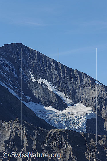 Foto: Altels und Balmhorngletscher. Von rechts steigt der Nordgrat zur Altels hoch. Die Felswand in der Nähe der Gratkante weist regelmässige Furchen in der Felsschichtung auf.