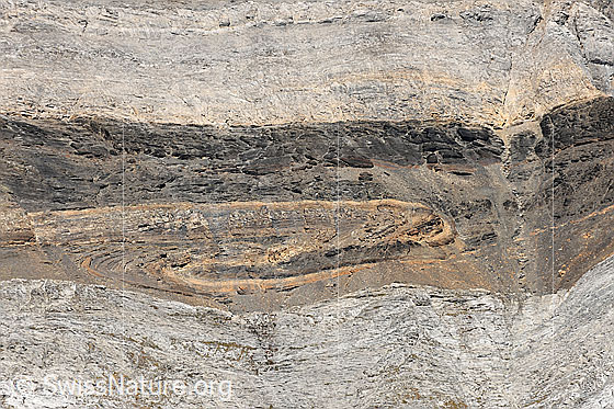 Foto: Faltung im Fels mit Farbunterschieden und interessanter Zeichnung.
