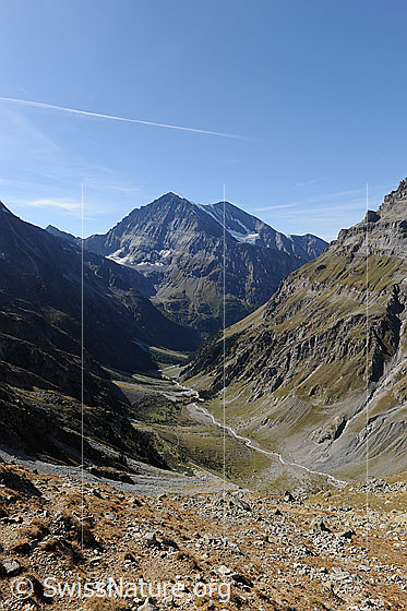 Foto: Gasteretal, Kandersteg. Blick über das unverbaute Hochtal zu Balmhorn und Altels.