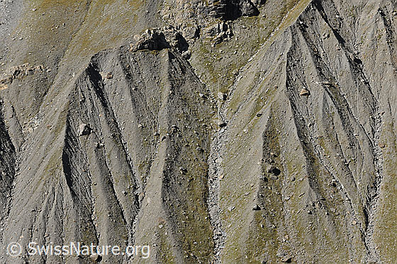 Foto: Erosion an einem spärlich mit Gras bewachsenen Steilhang.