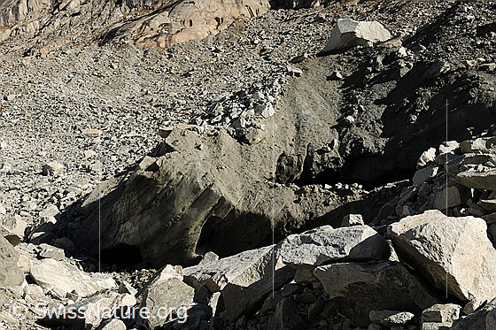Foto: Toteis, Geröll und Felsblöcke im Vorfeld des Bächligletschers.