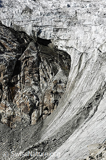 Foto: Detail Bächligletscher. Felsen mit Strukturen am Gletscherrand.