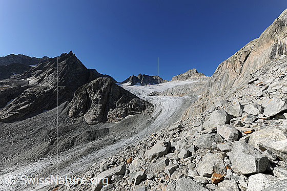 Foto: Bächligletscher mit Brandlammhorn, Bächlistock und Gross Diamantstock.
