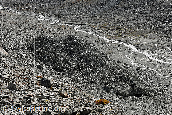 Foto: Grosser Doppelkegel aus Toteis. Im Hintergund der Bächlisbach.