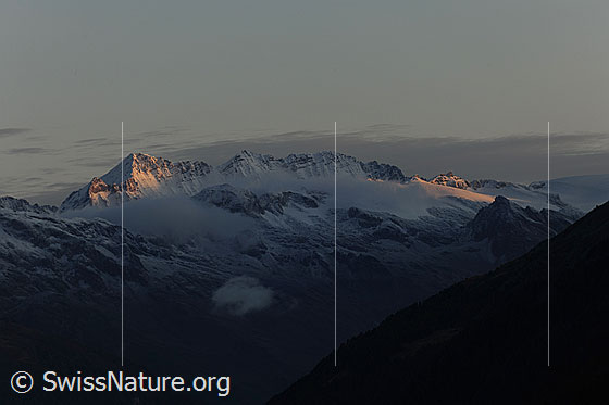 Foto: Morgenstimmung über den Berner Alpen.
Gipfel hintere Bergkette: Oeschinenhorn -  Blüemlisalphorn - Wissy Frau - Morgenhorn
Gipfel vordere Bergkette: Sackhorn - Elwertätsch - Birghorn (davor das Tennbachhorn)
Gletscher: Tennbachgletscher (unterhalb Sackhorn) - Tellingletscher (von Sonne beschienen, unterhalb Birghorn)
