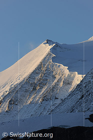 Foto: Morgenstimmung am Bishorn. Auf die NE-Wand fällt Morgenlicht. Der Brunegggletscher und ein Teil des Turtmanngletschers liegen noch im Schatten.