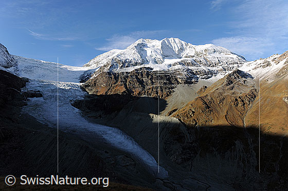 Foto: Herbstbild Gletscher und Berge im Turtmanntal. Zu sehen sind Turtmanngletscher, Les Diablons und Diablonsgletscher. Das Bergmassiv ist frisch verschneit und die Grashänge sind herbstlich gefärbt. Die Gletscherzunge des Turtmanngletschers liegt im Schatten.