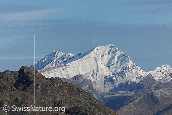 Foto: Altels, Balmhorn und Ferdenrothorn. Die Berggipfel sind frisch verschneit.