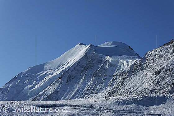 Foto: Bishorn, Turtmanngletscher und Brunegggletscher.