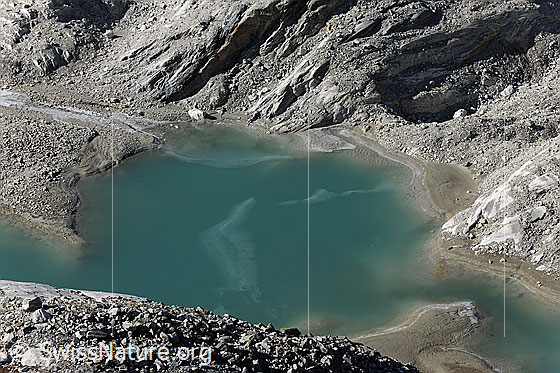 Foto: Eisreste im Gletschersee im Vorfeld des Brunegggletschers. Am Ufer und bei der Einmündung des Gletschersbachs in den See hat sich Geschiebe abgelagert.