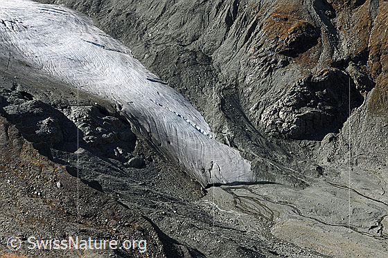 Foto: Gletscherzunge Turtmanngletscher mit Gletschertor und verzweigtem Gletscherbach.

