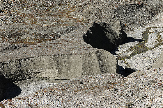 Foto: Kiesablagerung im Gletschervorfeld. Interessante Form, welche durch das Einfressen eines Bachs in die Gesteinsablagerung entstanden ist.