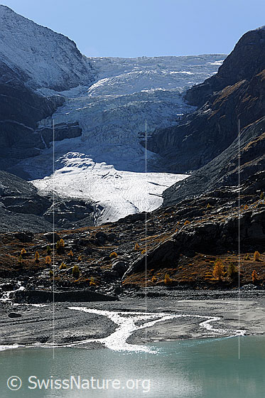 Foto: Stausee Turtmanntal und Turtmanngletscher. Der Gletscherabbruch liegt im Schatten, während Licht auf die Gletscherzunge fällt. Die Lärchen am Rand der Schwemmlandschaft sind herbstlich gefärbt.