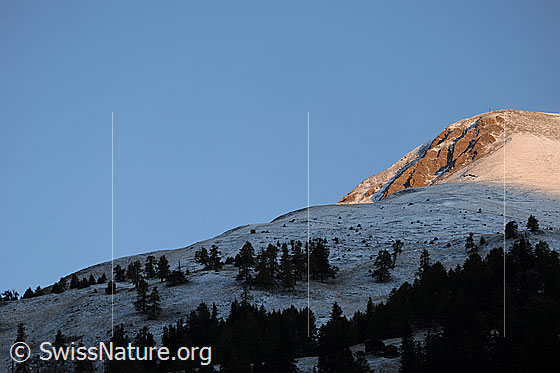 Foto: Morgenstimmung mit Morgenlicht auf Berggipfel (Kleines Fülhorn) und Schatten auf Bergrücken mit lichtem Lärchenwald und wenig Neuschnee. Auf einer Waldlichtung sind zwei Ställe erkennbar.