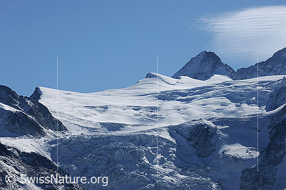 Foto: Bouquetins, Grand Cornier und Glacier de Moiry mit Gletscherabbruch.