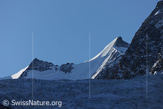 Foto: Stecknadelhorn, Hohberghorn und Riedgletscher. Sonnenlicht beleuchtet die steilen Firnflanken, während der Gletscherabbruch noch im Schatten liegt.