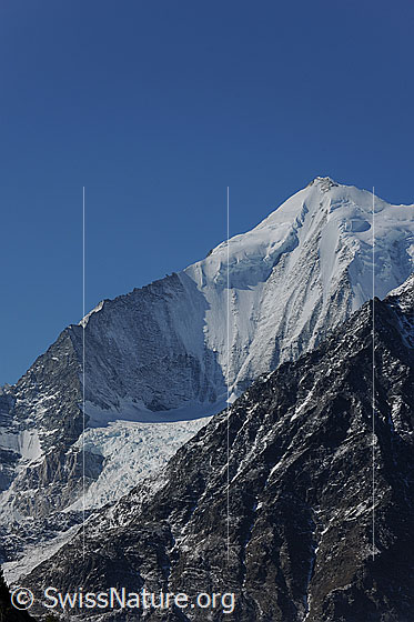 Foto: Weisshorn und Bisgletscher.