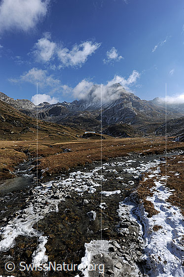 Foto: Zusammenfluss von Bergbächen auf Hochebene. Über der urtümlichen Berglandschaft mit Ofenhorn sind Quellwolken zu sehen.
