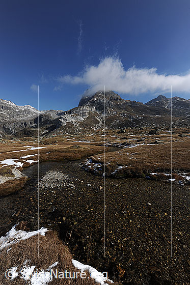 Foto: Flaches Gelände mit Wasserlauf. Blick über die herbstfarbene Hochebene zu den Bergen.