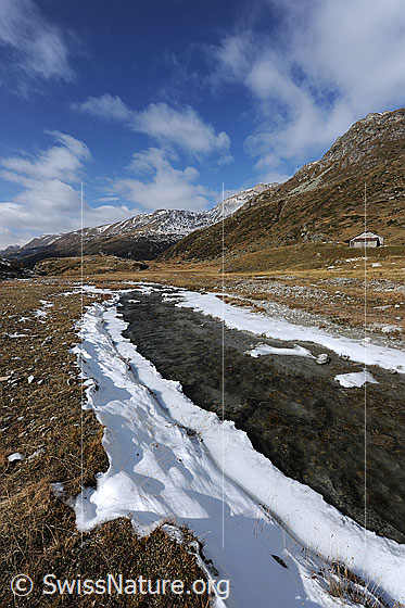 Foto: Bergbach in weiter Hochebene. Schneereste von erstem Schnee im Herbst säumen das Bachufer. Über der herbstlichen Berglandschaft sind lockere Quellwolken zu sehen.