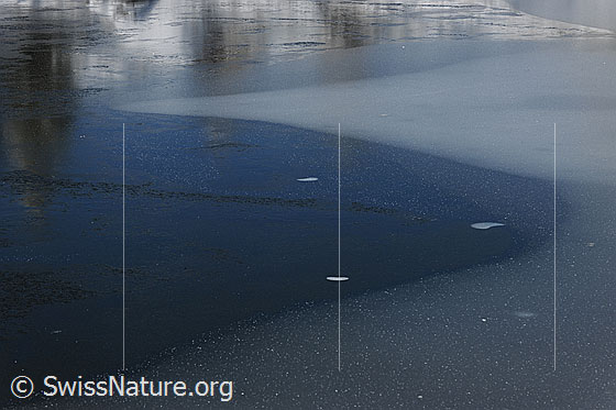 Foto: Schwarzeis im Bergsee mit schwacher Spiegelung. Die Eisschicht über dem See besteht aus dunklem und hellem Eis.