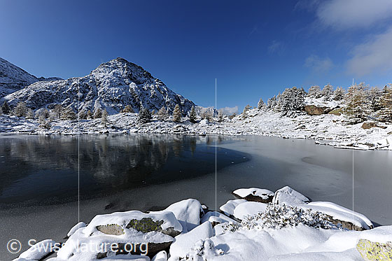 Foto: Stimmungsvoll spiegelnde Eisoberfläche. Das Stockhorn spiegelt sich im Schwarzeis des Mässersee. Der erste Schnee am gefrorenen Bergsee verleiht der Berglandschaft eine märchenhafte Stimmung.