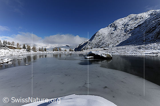 Foto: Gefrorener Bergsee in frisch verschneiter Berglandschaft. Die noch herbstlich gefärbten Lärchen am Ufer und der Felsblock spiegeln sich im Schwarzeis der weiten Eisfläche des nun winterlichen Mässersee.