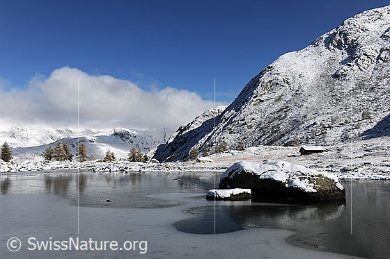 Foto: Schwarzeisschicht auf Bergsee. Blick über die Eisfläche des Mässersee auf die Spiegelungen eines Felsblocks und der gelben Lärchen am gegenüberliegenden Ufer. Die Berglandschaft ist frisch verschneit.