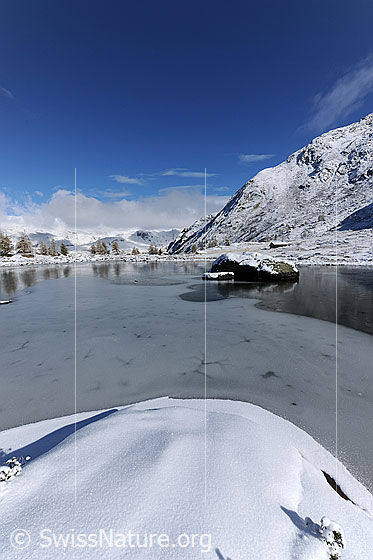 Foto: Eisbedeckter Mässersee. Blick über die Eisfläche des Bergsees auf die Spiegelung der gelben Lärchen am gegenüberliegenden Ufer. Im Schwarzeis spiegelt sich auch der grosse Felsblock in der Seemitte. Die Landschaft ist frisch verschneit.