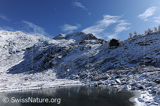 Foto: Eisfläche aus Schwarzeis mit schwacher Spiegelung der verschneiten Berglandschaft am Mässersee.