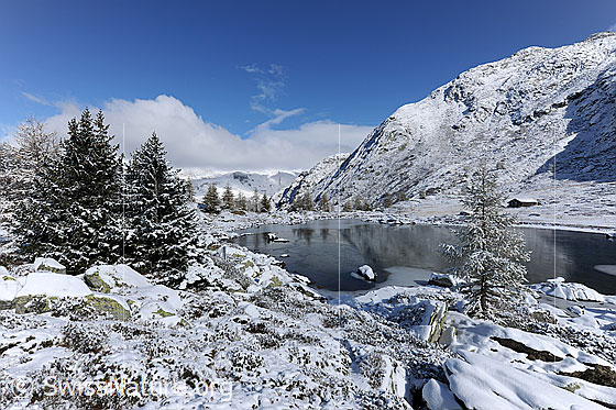 Foto: Neuschnee am gefrorenen See. Im Bergsee hat sich eine Eisdecke aus Schwarzeis gebildet in welcher sich herbstliche Lärchen spiegeln. Der Wintereinbruch hat die Berglandschaft um den Mässersee in eine Märchenlandschaft verzaubert.