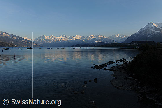 Foto: Abendstimmung am Thunersee.