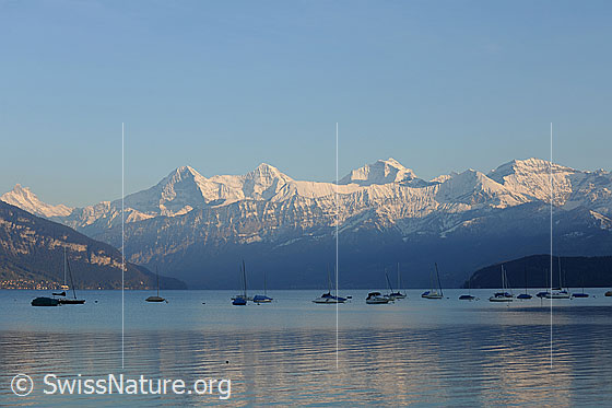 Foto: Dreigestirn und Thunersee