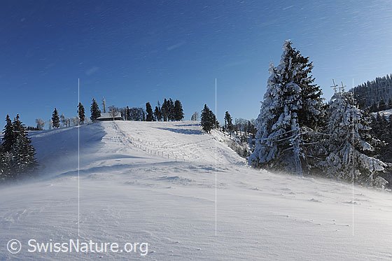 Foto: Schneeverfrachtung durch Wind. Lockerer Schnee wird über die Schneeoberfläche des Geländerückens geweht. Es entstehen kleine Schneefahnen und Wechten.