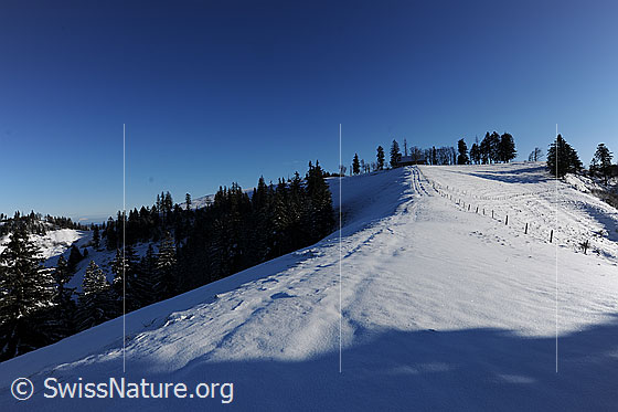 Foto: Schneebedeckte Krete mit Zaun und Wegspur eines Feldwegs, welcher zu einem Stall führt. Bäume und Tannen säumen den Grat. Darüber ist blauer Himmel zu sehen.